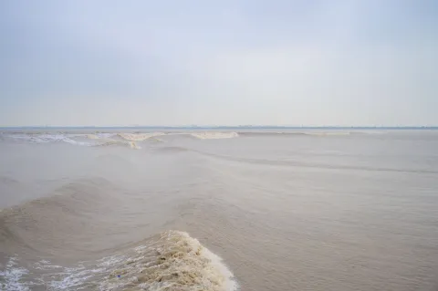 钱江潮7