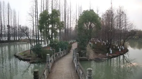 湘湖边的景色