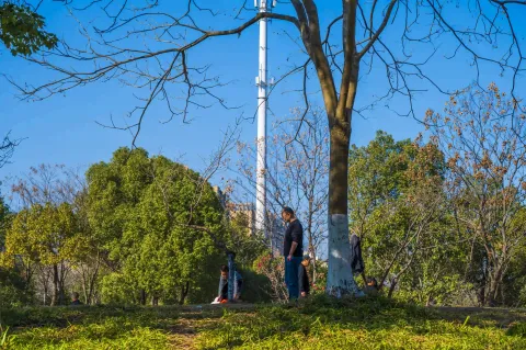 绕城高架下公园随拍14