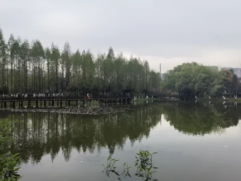 千桃园6