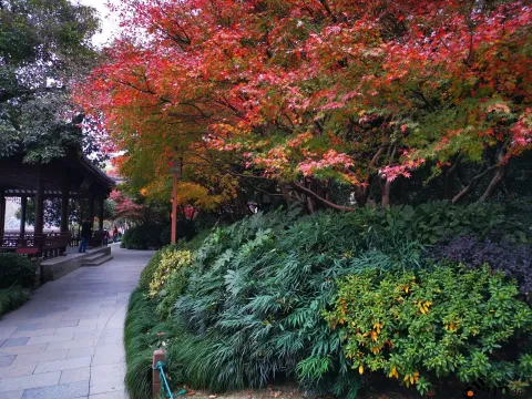 西湖，北山街南侧的景色