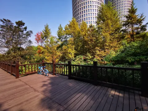 钱塘江大桥南岸的公园景色