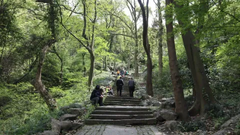 玉皇山12