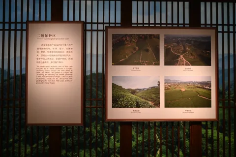 杭州中国茶叶博物馆-龙井茶3