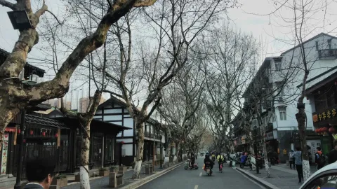 河坊街的游人