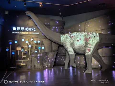 浙江自然博物院安吉馆19