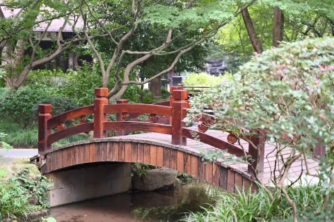 杭州中国茶叶博物馆馆区景色5