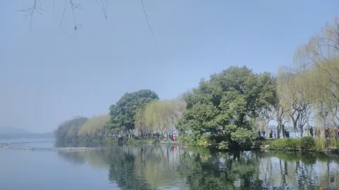 西湖苏堤、花港观鱼的游人