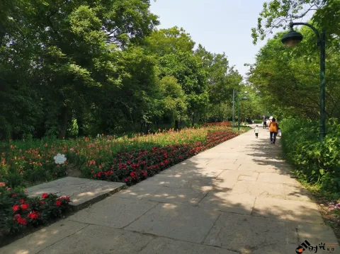 西溪花朝节