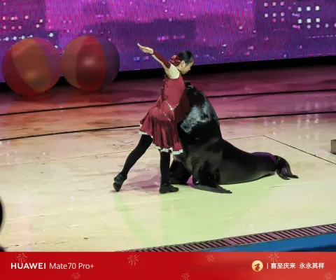 海狮哈哈秀10
