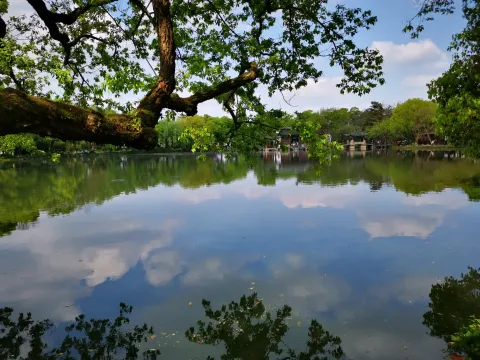 小瀛洲26