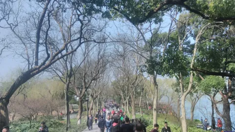 西湖苏堤、花港观鱼的游人