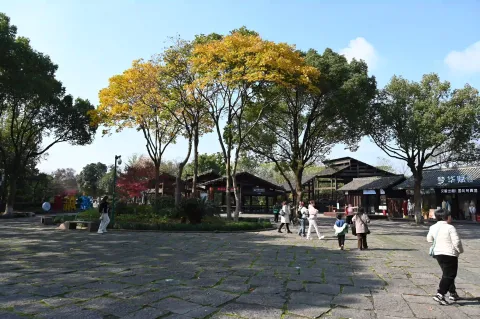 西溪湿地7
