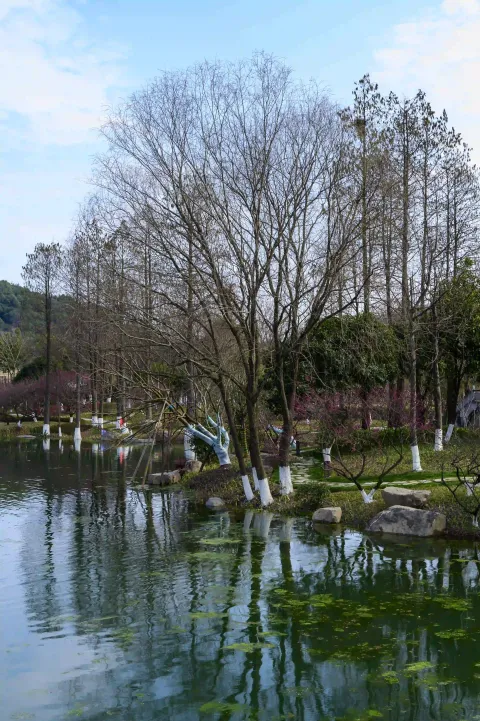 超山景区12