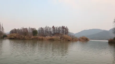 湘湖边的景色