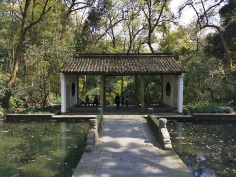 虎跑泉