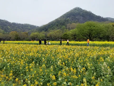 八卦田遗址公园9