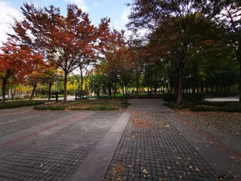 不错的景色