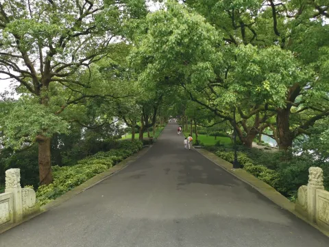 苏堤8