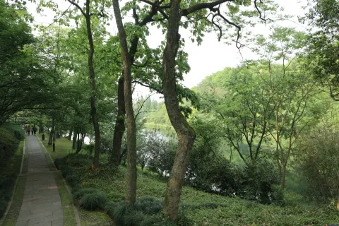 乌龟谭边幽静的石头走道
