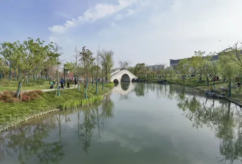 桃花湖公园11