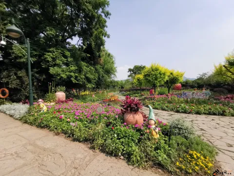 西溪花朝节