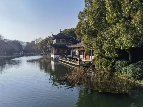 曲院风荷7