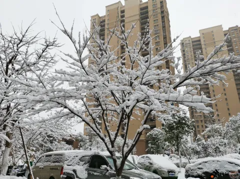 2018年的尾巴尽然下了一场不小的雪