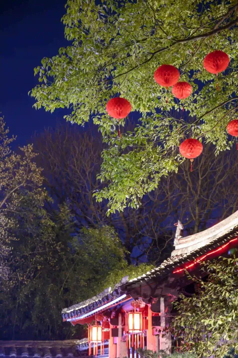 夜幕下的沈园3