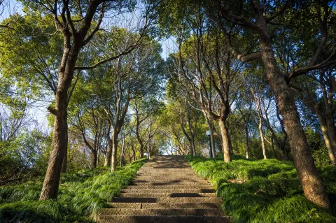 仁皇山爬山走道10
