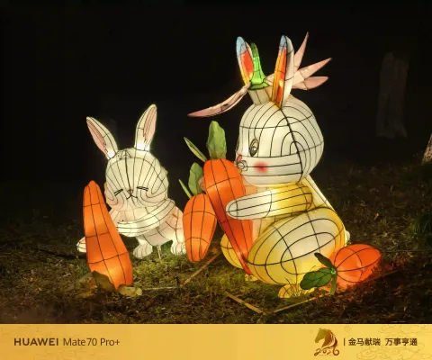夜色中坐摇橹船赏灯20