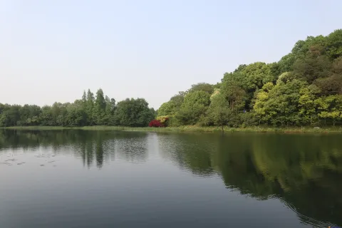 乌龟谭