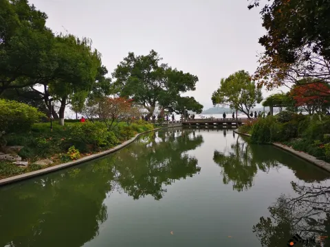 初冬，西湖湖滨的景色
