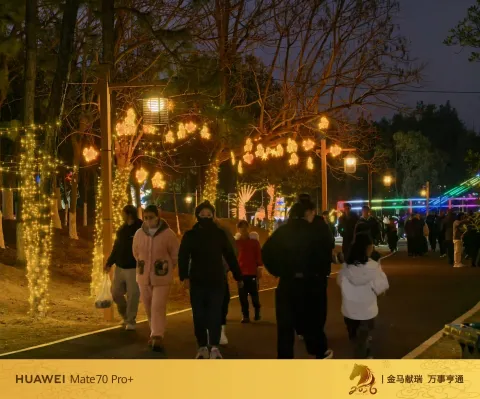 玉环漩门湾农业观光园灯会8