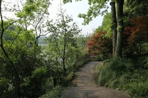 乌龟谭边幽静的石头走道