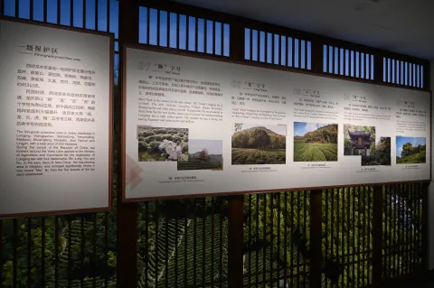 杭州中国茶叶博物馆-龙井茶4