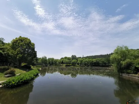 良渚美丽洲公园