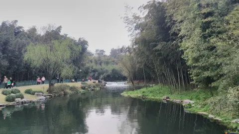 桃源岭，竹类植物区