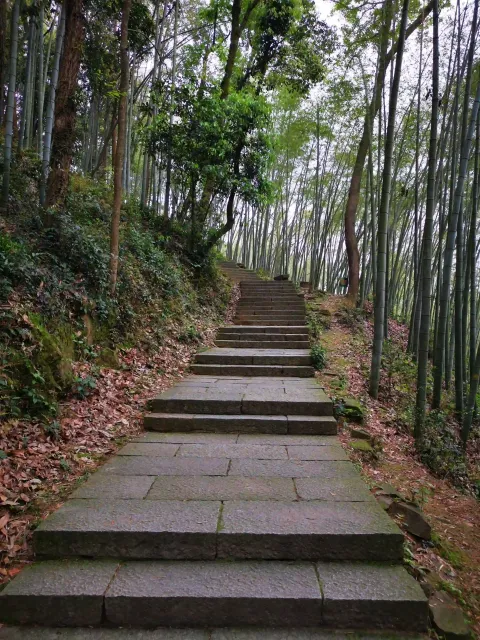 五云山67