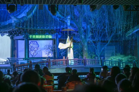 沈园之夜9