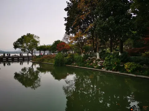 初冬，西湖湖滨的景色
