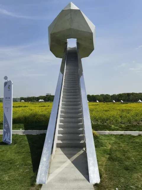 田园牧歌5