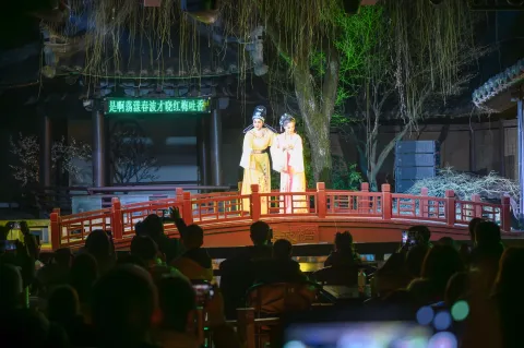 沈园之夜5