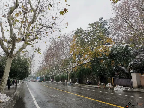 皑皑白雪挂满枝头