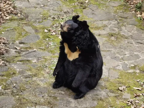 杭州动物园6
