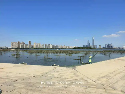 漫步金鸡湖畔6