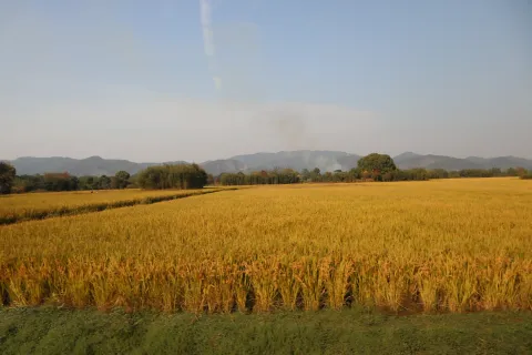 良渚古城遗址公园5