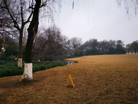 柳浪闻莺11