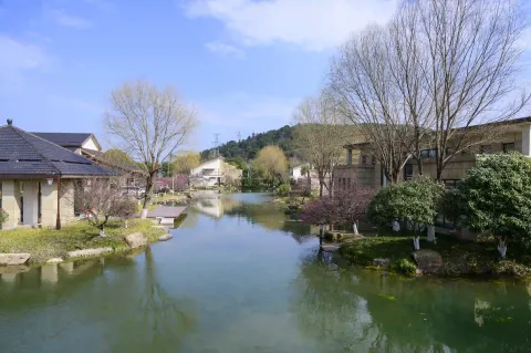 超山景区7