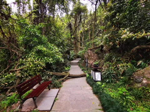 万松书院24